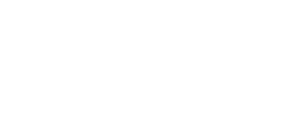 Partner 6